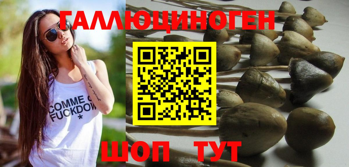 наркота  Псилоцибиновые грибы мицелий  Вход с VPN  Корсаков 