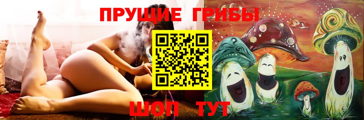 Псилоцибиновые грибы Psilocybine cubensis Корсаков