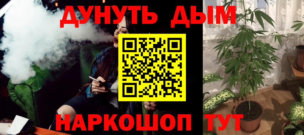 Каннабис планчик Корсаков